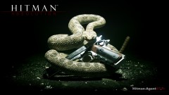 HitmanAbsolution-wall1.jpg